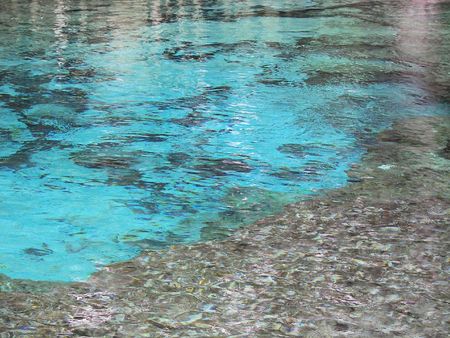 clear waters of ginnie springs, flの写真素材