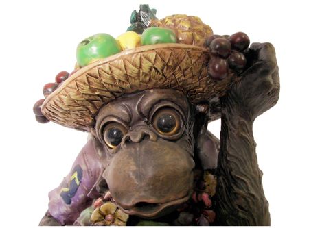 party monkey close upの写真素材