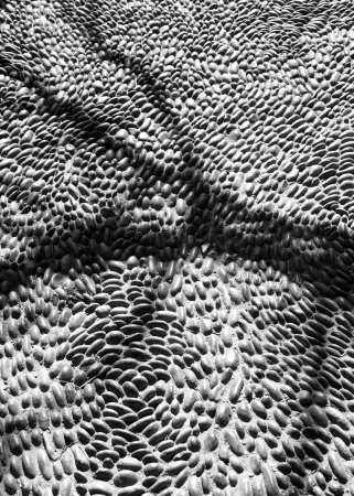 hand placed stone walkway in the garden