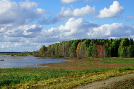 Landscape of Puurijarvi national park in Finlandの写真素材