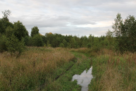 Autumn nature in Russia