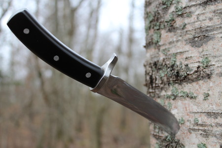 Knife stuck in a tree against the background of the autumn forest