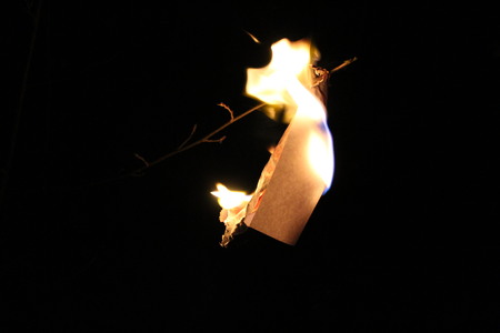 Burning white sheet of paper at night, in the forestの写真素材
