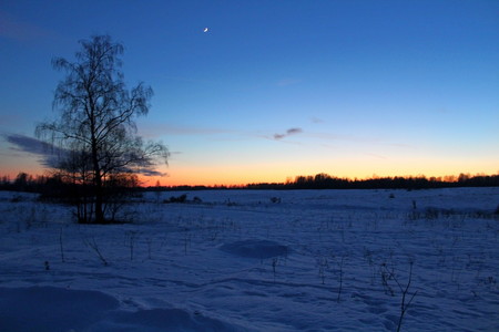 Northern nature in winter, during sunset and moonrise. Excellent illustrationの写真素材