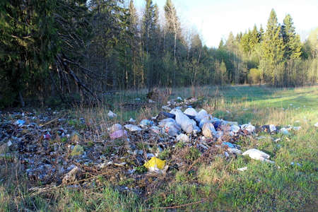 Beautiful nature in early spring in sunny weather. Unique image of the environment