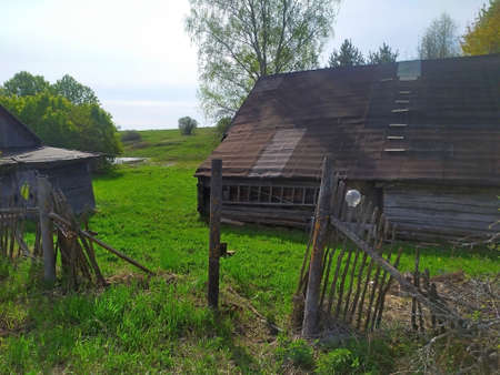 Country old rural house in the middle of the forest. surrounded by fruit bushes.unique image for decorationの写真素材