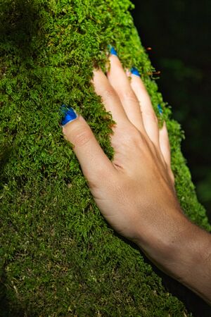 Woman's hand with blue nails touching soft moss on a treeの写真素材