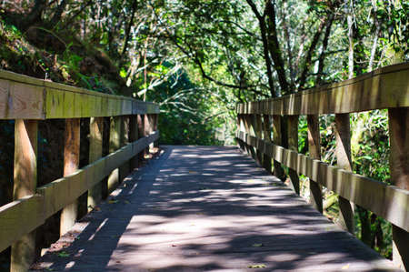 Wood path in Sistelo trail