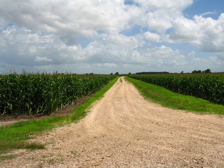 Lonely, empty dirt road fading into the distance