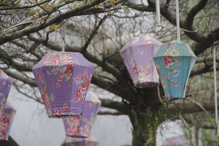 Colorful paper lanterns hanging from a tree in the garden.の写真素材