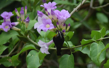 Life nourished lifeの写真素材