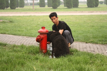 Man is taking care of his dog and giving water during summer heat, Luoyang, China -  July 21, 2010のeditorial素材