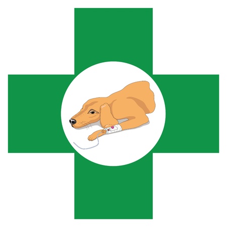 Veterinary cross  with image of recovering dogのイラスト素材