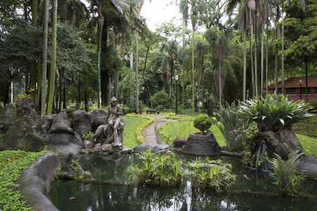 Beautiful tropical garden with pond and sculpture - Jardim da Luz in Sao Paulo, Brazilの写真素材