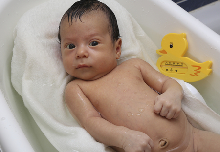 Little newborn baby relaxed in a bath with duck thermometerの写真素材