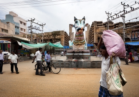 Madurai, India-September 11, 2012  A street in front of the the Sri Meenakshi Hindu Temple there is a monument to the Sacred Cow where many parishioners and pilgrims visit every day のeditorial素材