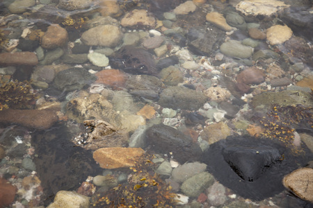 Stones under water