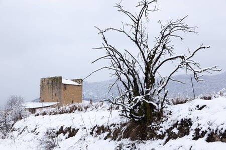 Fields in Matarranya. Teruel province. Spainの写真素材