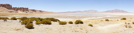 Salar of Tara, Atacama Desert. North Chileの写真素材