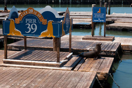 San Francisco, USA-June 20, 2017: Many tourists visiting the famouse Pier 39 in San Franciscoのeditorial素材