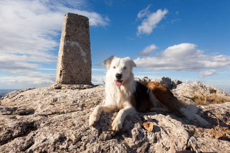 Los Ports natural park. Tarragona province. Spainの写真素材