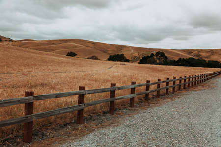 Nature in the western. California; USESの写真素材