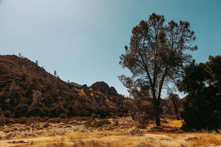 Nature in the western. California; USESの写真素材