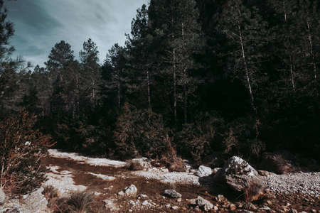 The Gubies in Parrisal Canyon. The Ports Mountains. Teruel provinceの写真素材