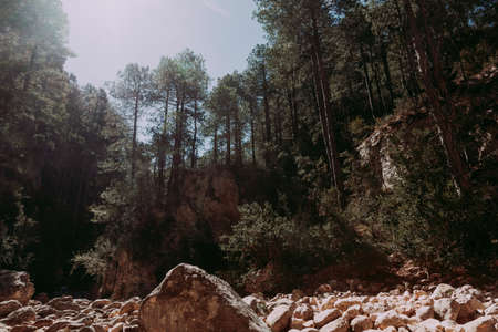 The Gubies in Parrisal Canyon. The Ports Mountains. Teruel provinceの写真素材