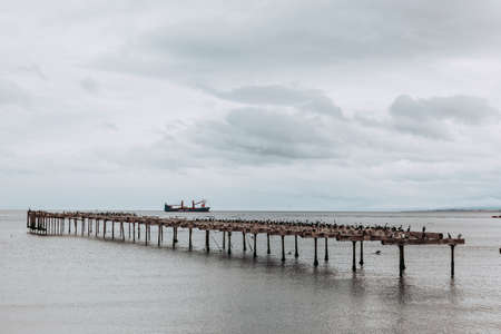 The remains of an old pier, now a resting place for seabirds. Sand Point, Chilean Patagonia.のeditorial素材