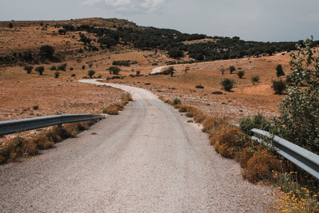 Road in Los Ports natural parkの写真素材