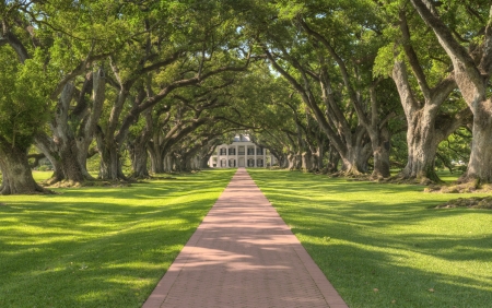 Oak Alley Plantation Tree Tunnel Leading Up To The Mansion Oak Alley Plantation Tree Tunnel Leading Up To The Mansion