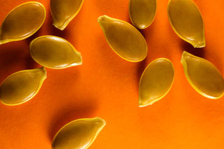 Goliath Pumpkin Seeds Abstract Layout On Orangeの写真素材