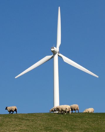 Sheep grazing next to a wind turbineの写真素材