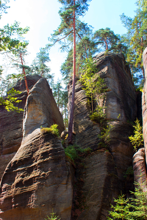 In the background is rock on which grow trees.の写真素材