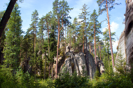 Sky, tree and rock. In the background is the rock and trees.の写真素材