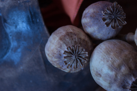 Detail finial with poppy heads.の写真素材