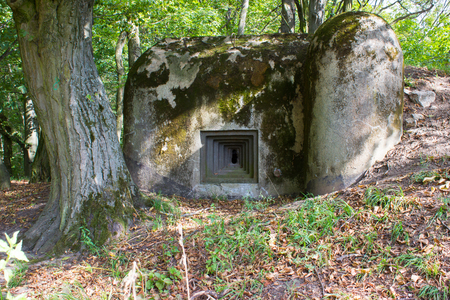 An old military bunker in forest. In the foreground is bunker. On the background are trees.の写真素材
