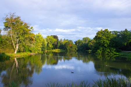 A pond with trees that mirror the surface. Blue sky with white clouds.の写真素材