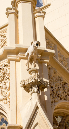 Detail of rain gargoyle at castle Lednice.のeditorial素材