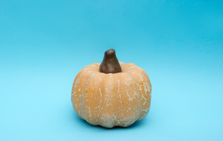 Decoration - green yellow orange pumpkin on a blue backgroundの写真素材