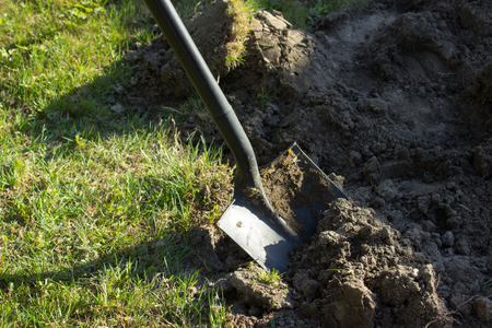 Working in the farm garden - spade grass