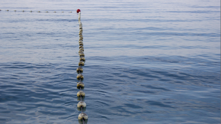 Detail of buoys at sea that surround the swimming zone.の写真素材