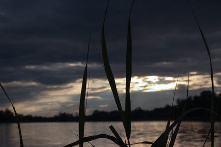 View through the reeds to the reflection of the setting sun in the lakeの写真素材