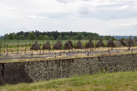 Reinforced concrete anti-tank barrier in nature from the Second World Warの写真素材