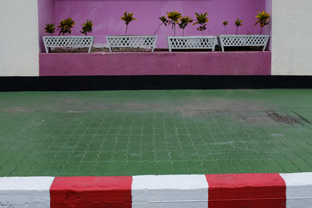 Pattern and potted treeの写真素材