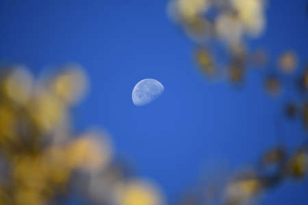 Daytime Moonの写真素材