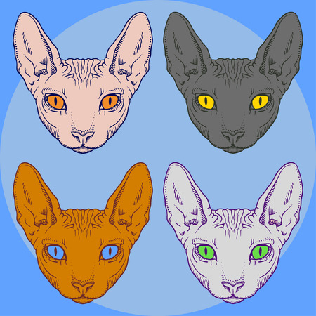 Set of hairless sphinx cat face graphics, outline black and whiteのイラスト素材