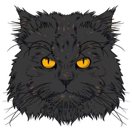 The head of the Persian cat graphicsのイラスト素材