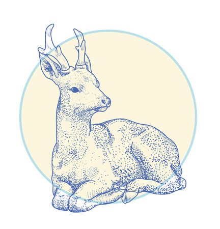 contour drawing deer points. Cartoon deer lay isolated on white.のイラスト素材